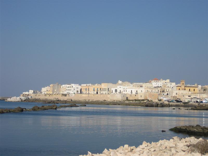 Gallipoli 8297